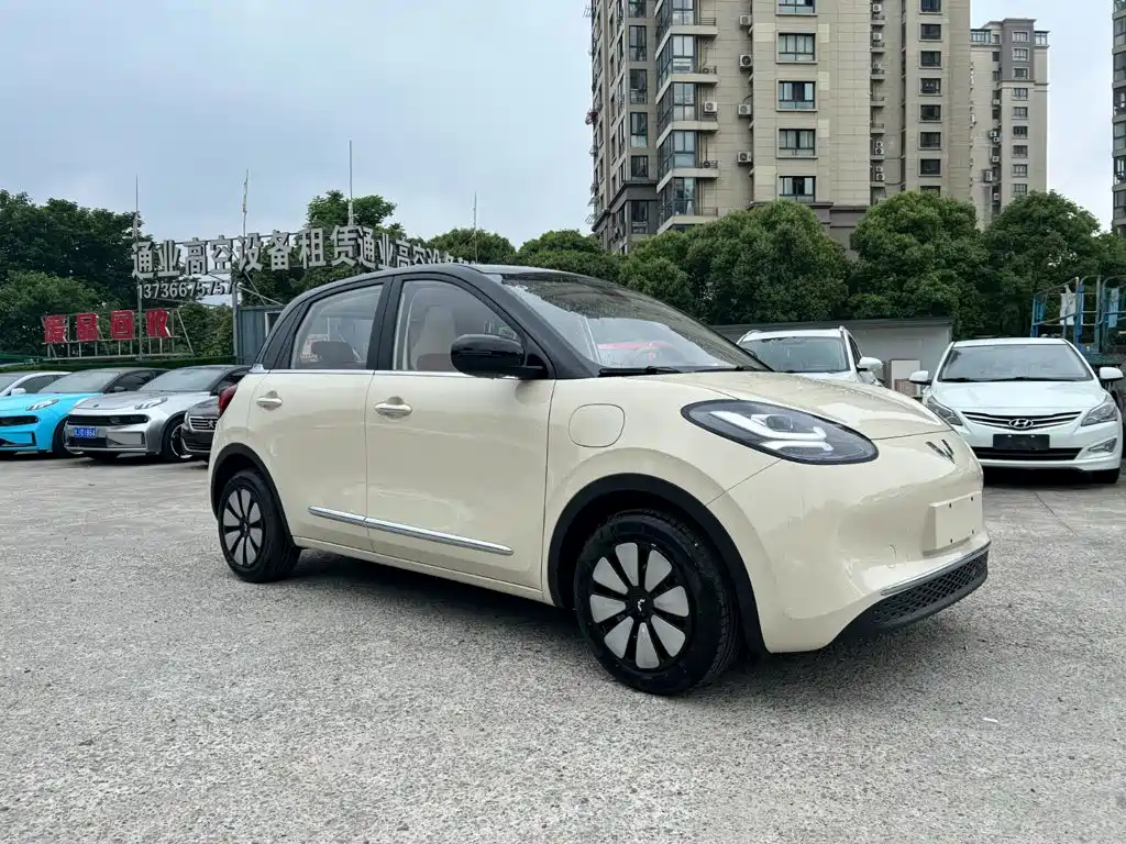 Wuling Motors Wuling Bingo 2026 2025 Model 333km Joy Edition