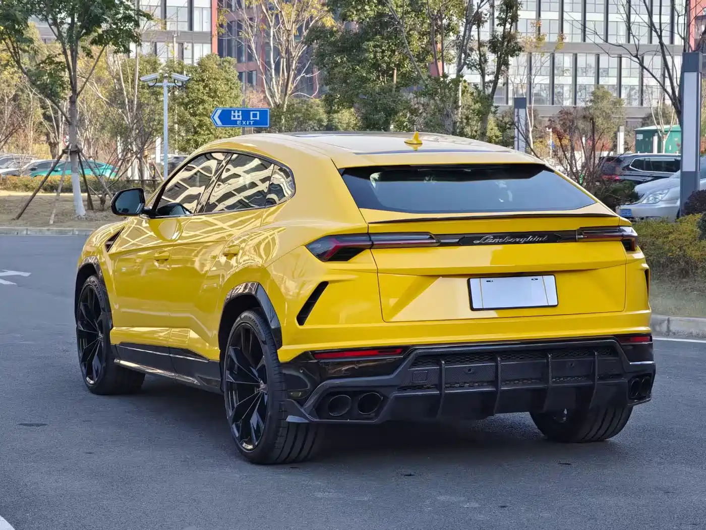 Lamborghini Urus 2018 4.0T V8 фото 3