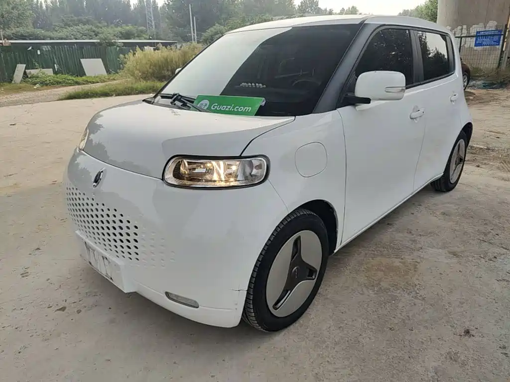 Ora White Cat 2020 2020 360km Luxury Model