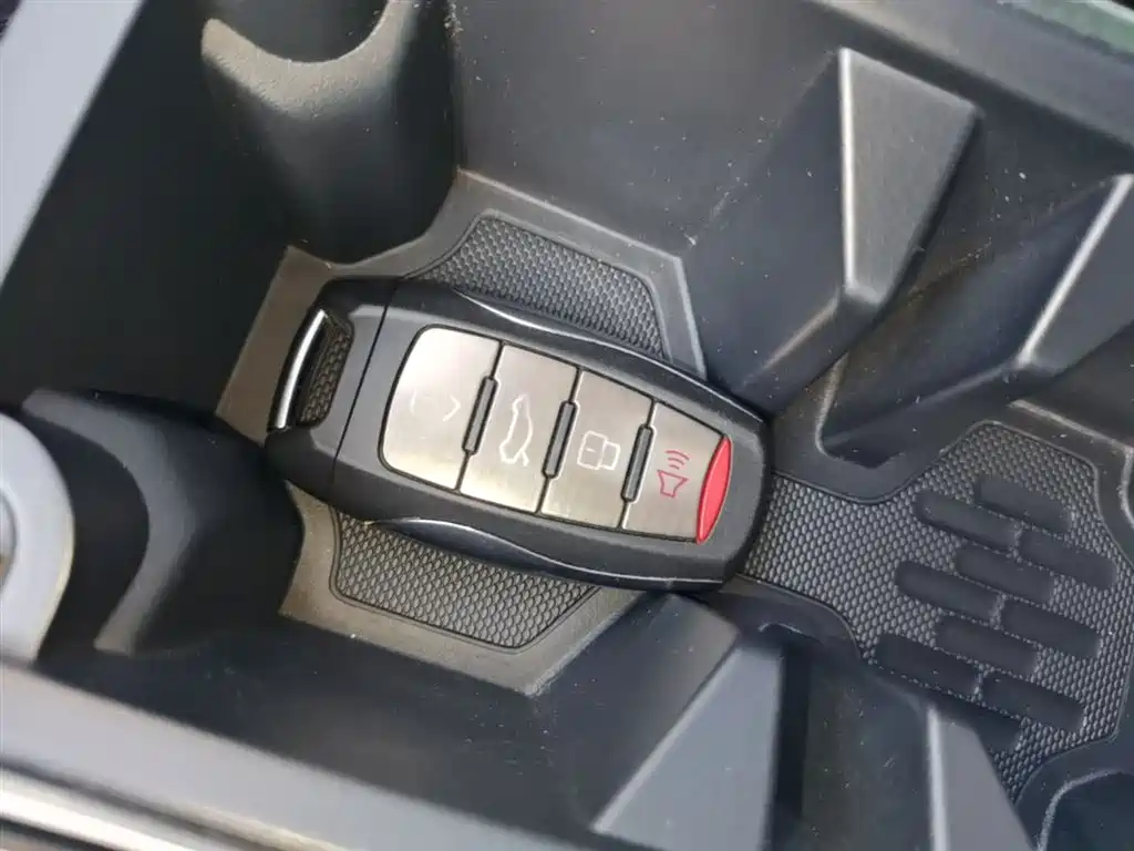 Haval Big Dog 2022 1.5T DCT FWD Border Collie Edition фото 9