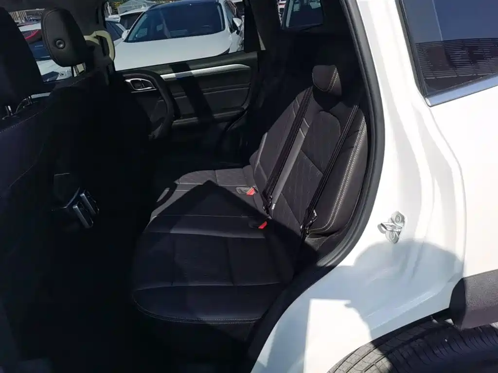 Haval Big Dog 2022 1.5T DCT FWD Border Collie Edition фото 17