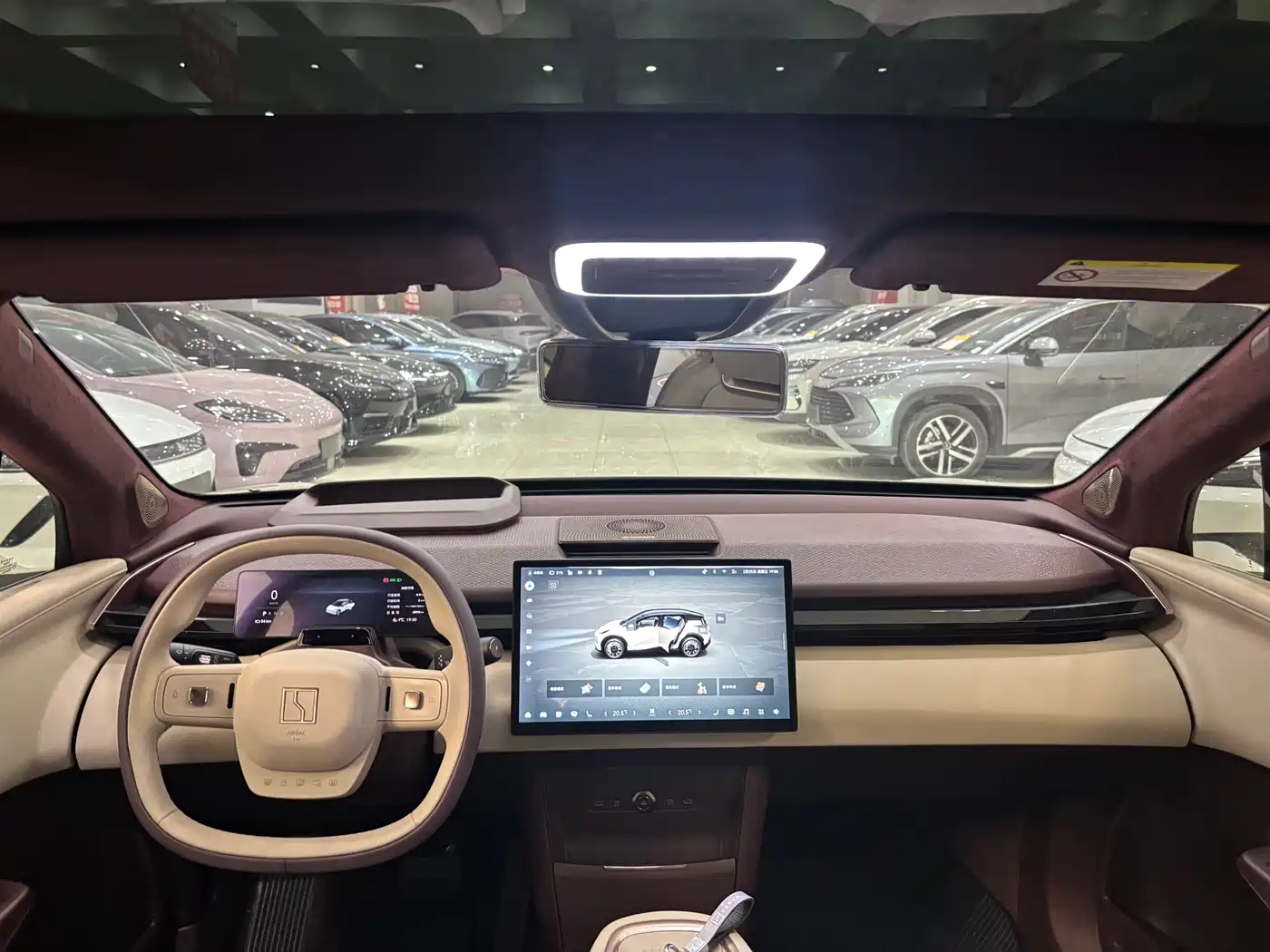 ZEEKR EXTREME KRYPTON X