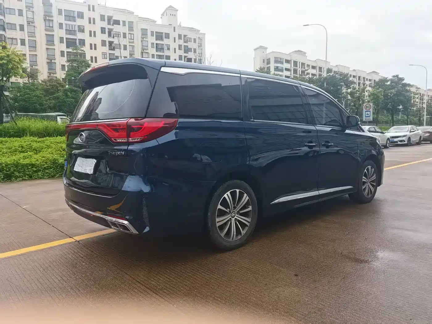 GAC Trumpchi Trumpchi M8 2020 Pilot 390T Prestige Edition фото 4