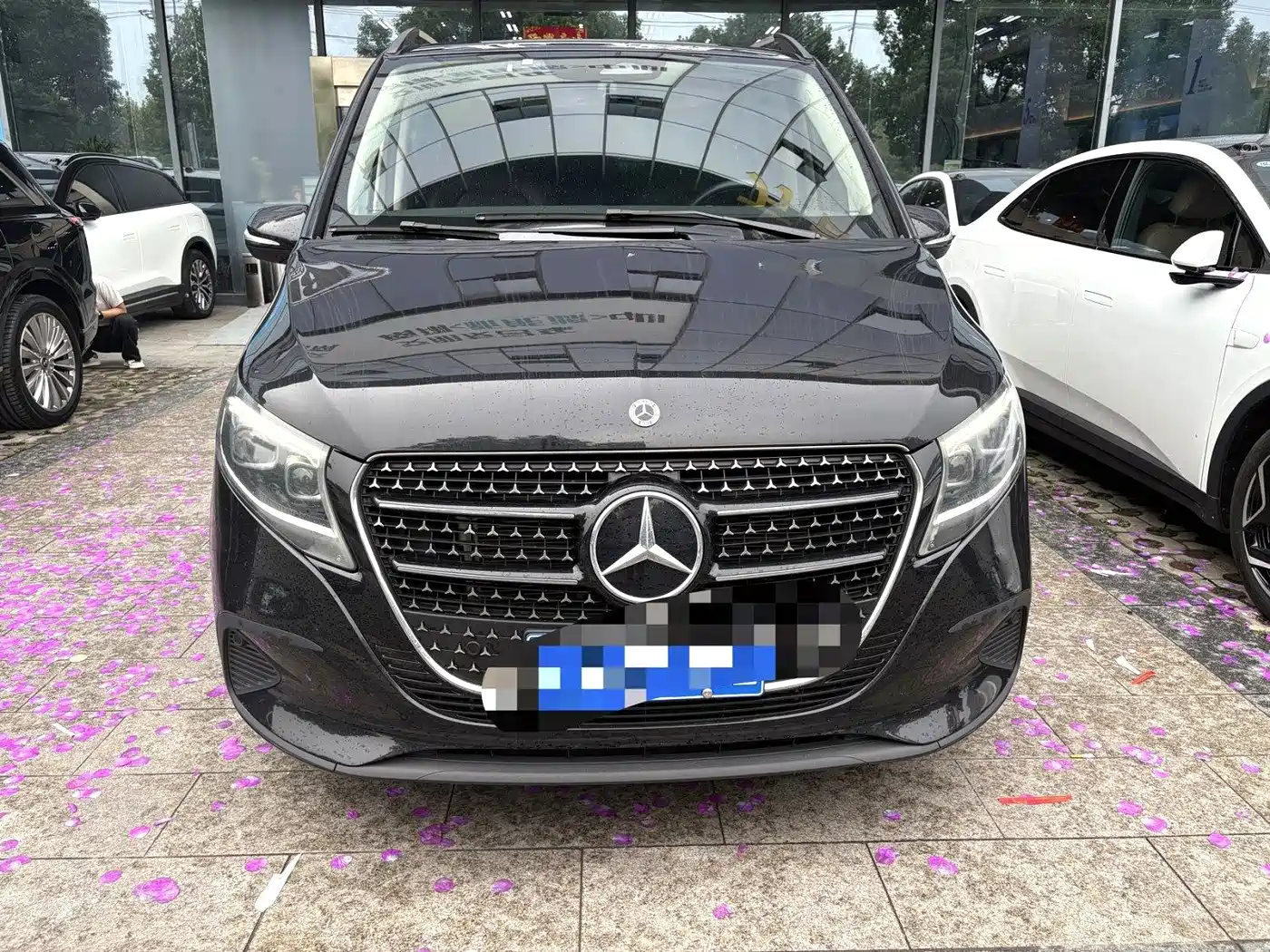Mercedes-Benz V-Class 2025 2024 V 300 Pilot Edition