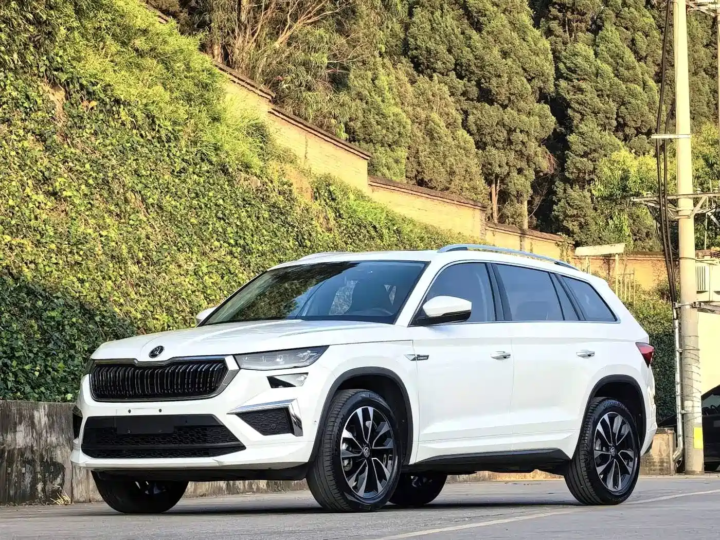 Škoda Kodiaq 2022 2022 TSI330 5-Seater 2WD Luxury Edition