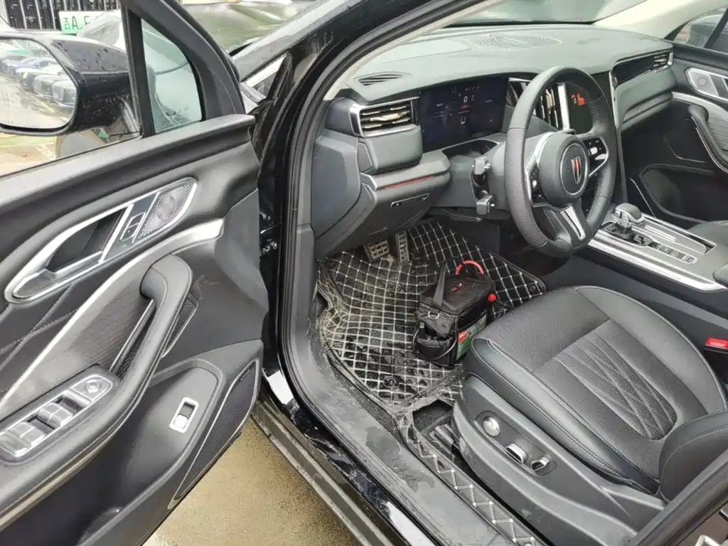 صورة 16 - Hongqi HS7 PHEV