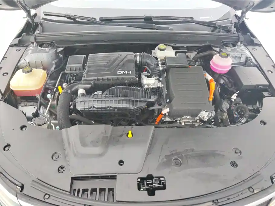 BYD Destroyer 05 2024 2023 Champion Edition DM-i 55KM Luxury