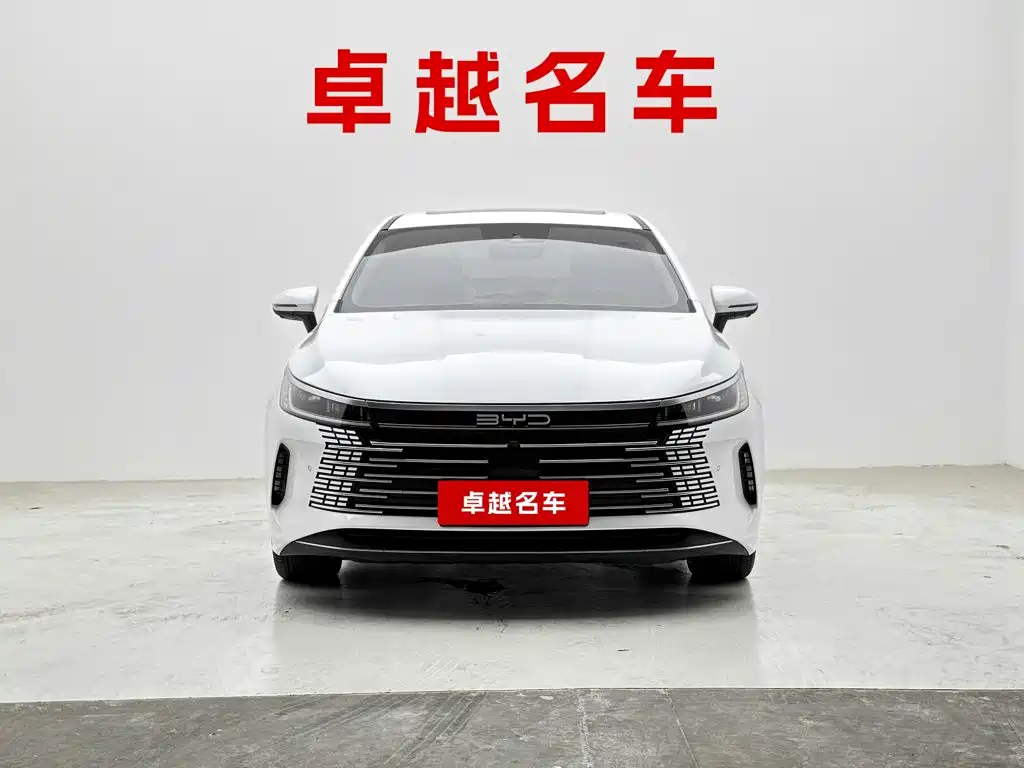 Фото 7 - BYD Destroyer 05