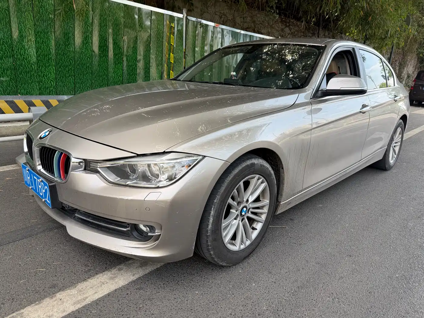 BMW 3 Series 2013 320Li Fashion Model