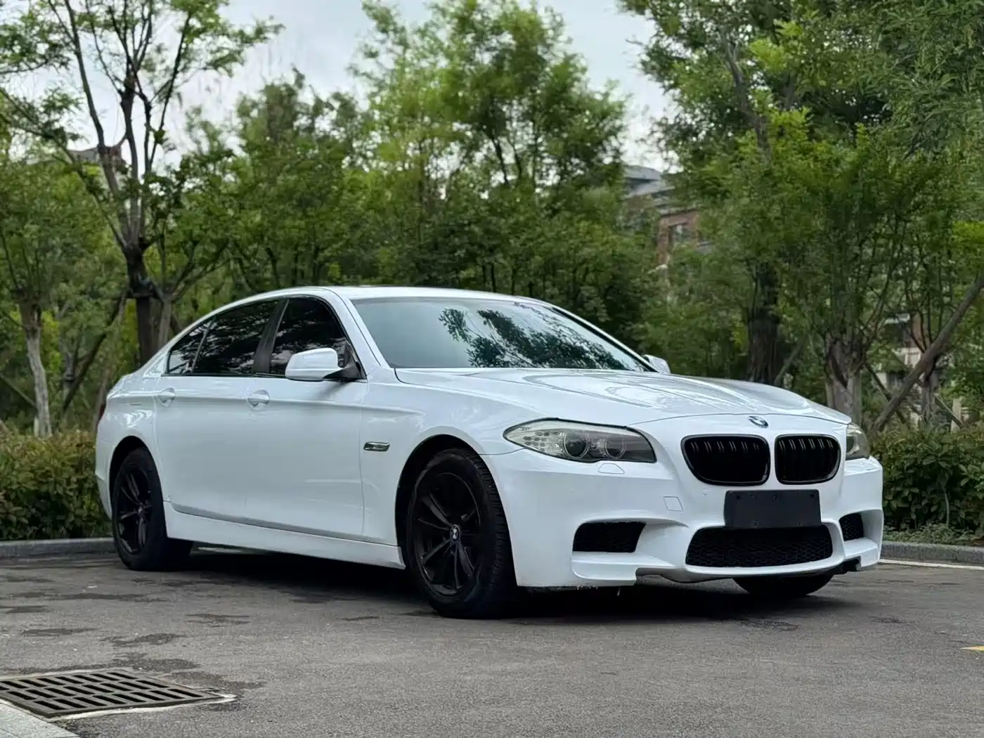 BMW 5 Series 2011 523Li Leading фото 3
