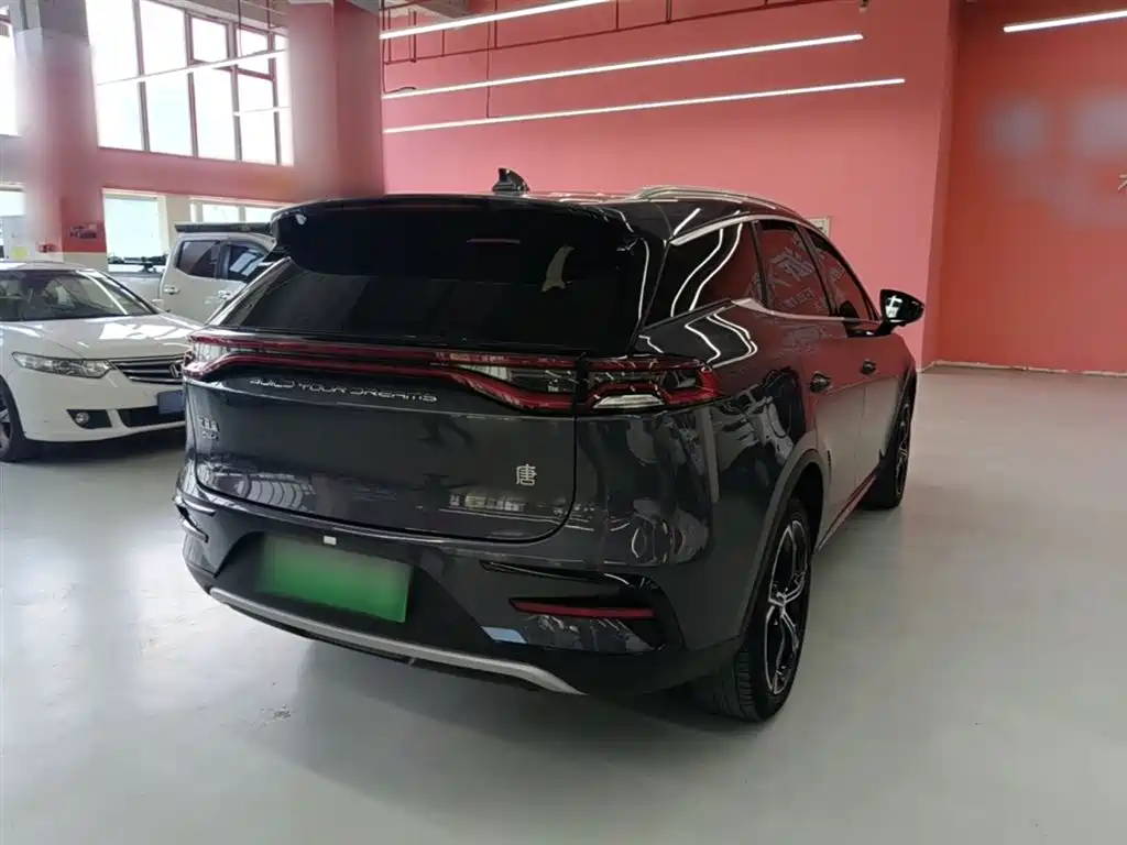BYD Tang New Energy 2021 DM-i 112KM Honor фото 7