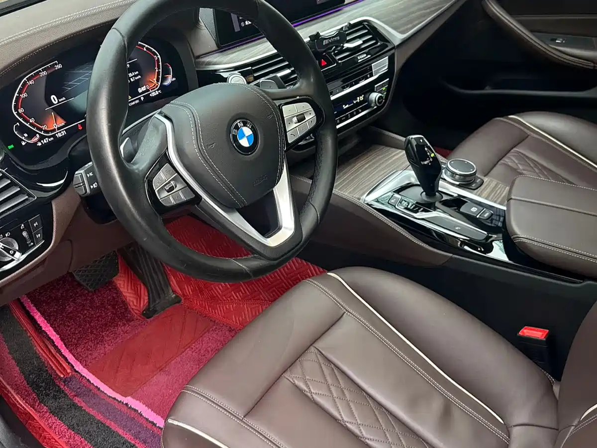 BMW 5 Series 2020 530Li Leading Luxury Package фото 8