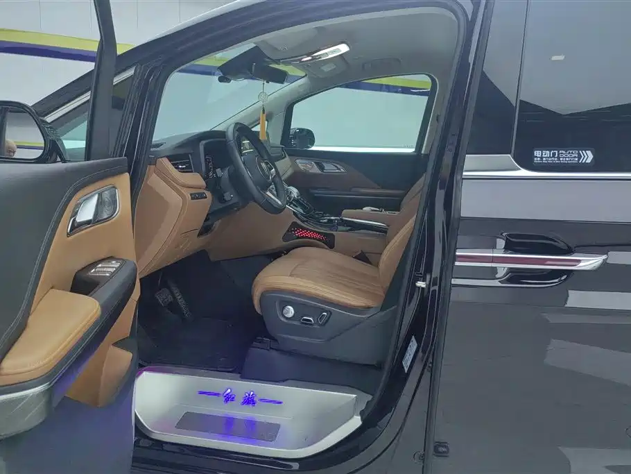 Hongqi HQ9 PHEV 2024 Model 2.0T AWD Business Edition фото 9