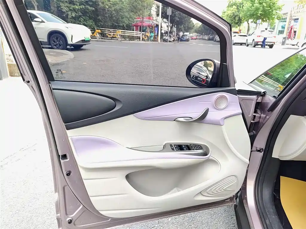 BYD Dolphin 2021 Model 405km Fashion Edition фото 6