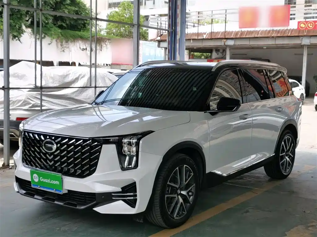 GAC Trumpchi Trumpchi GS8 2025 Pilot Series 2.0TGDI 2WD Luxury Edition 5-seater фото 2
