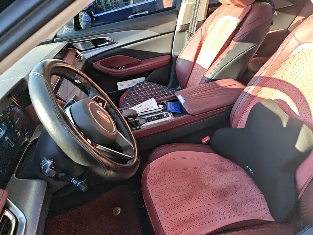 Фото 8 - Hongqi H5