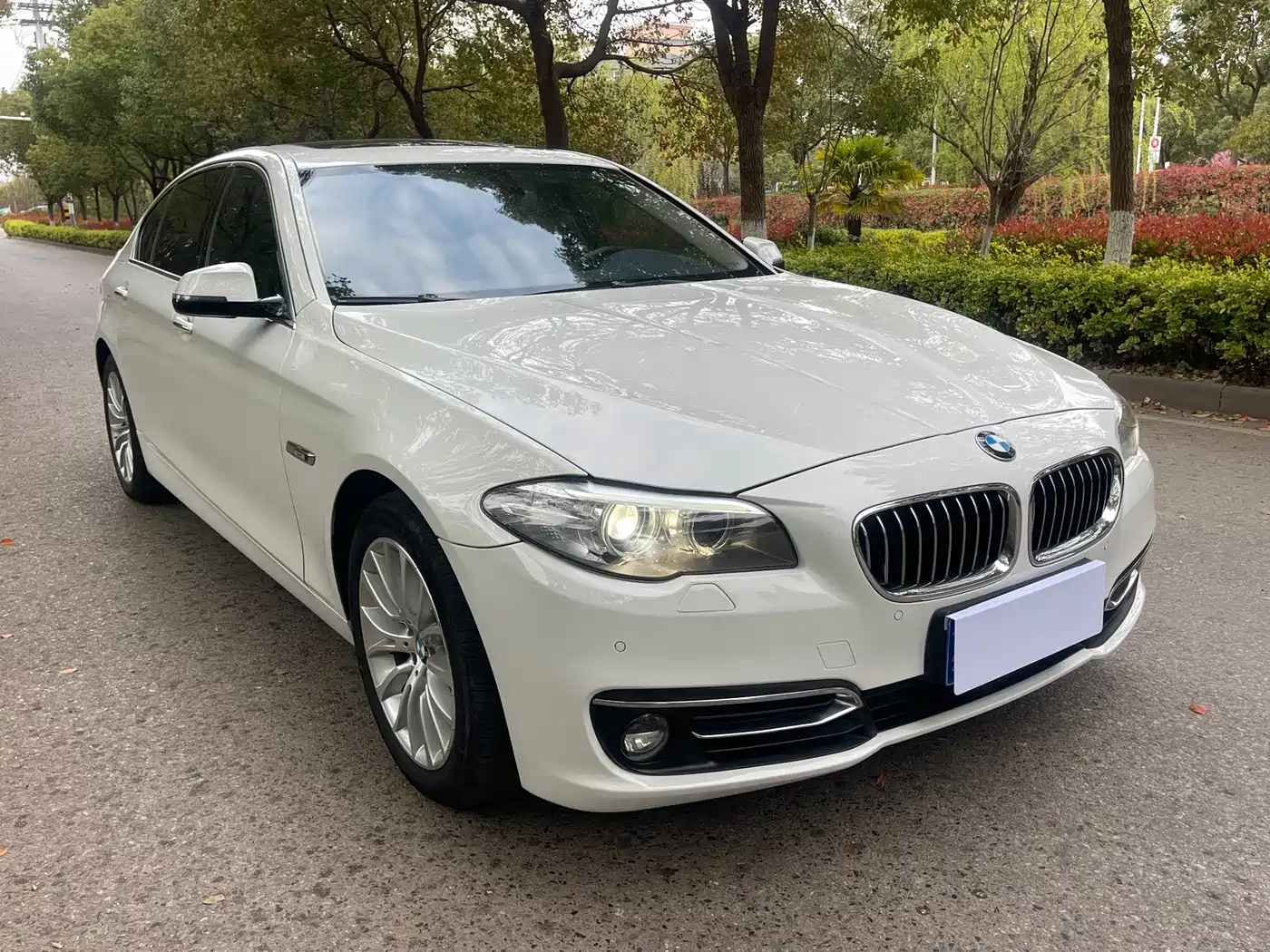 BMW 5 Series 2014 525Li Luxury Design Package фото 4