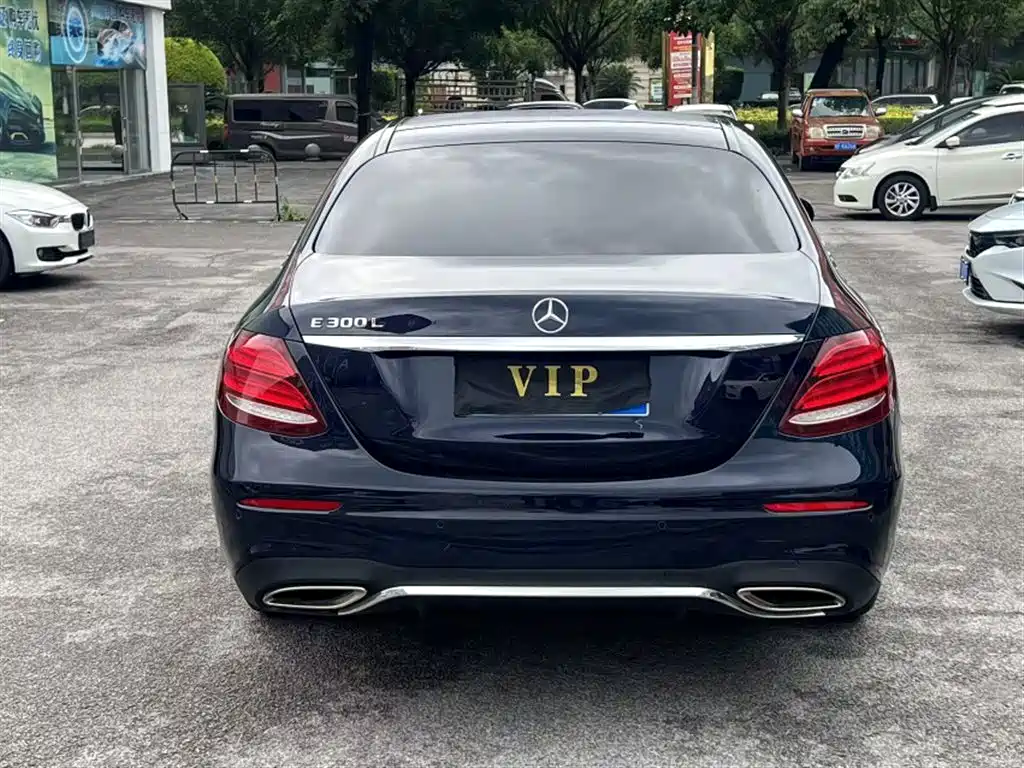 Mercedes-Benz E-Class 2018 Facelift E 300 L Sport Fashion фото 5