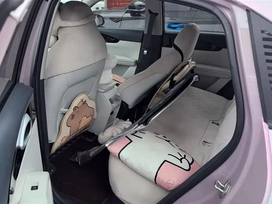 Geely Galaxy Starry Wish 2025 410km Freedom Edition фото 11