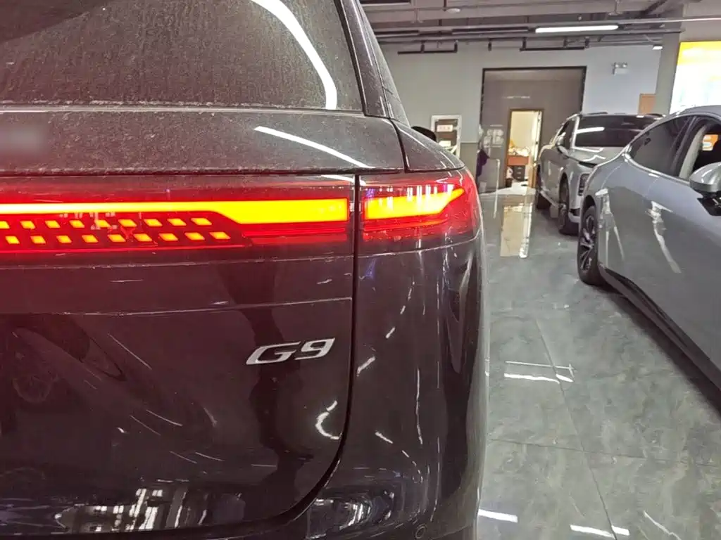 Фото 8 - XPeng G9