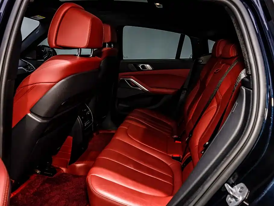 BMW X6 2021 Facelift xDrive40i Premium M Sport Package фото 10
