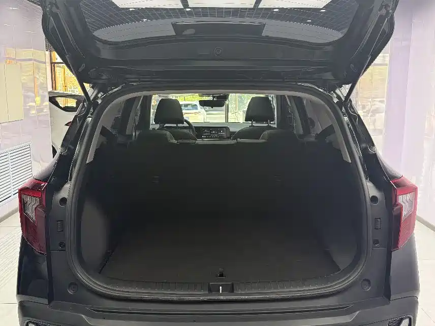 Kia Seltos 2023 1.5L CVT Luxury Edition фото 20
