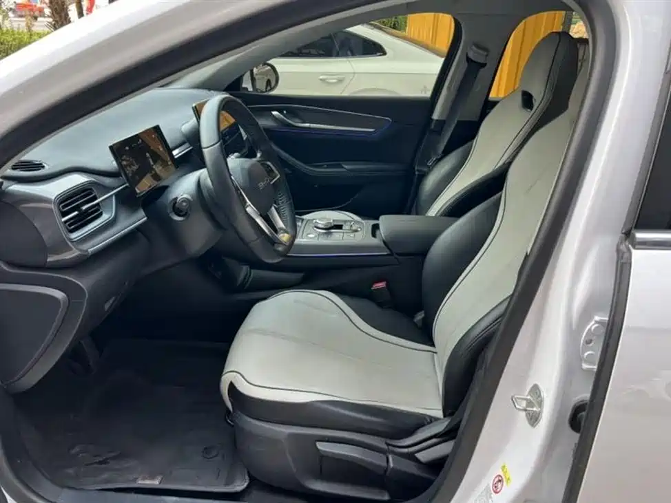 BYD Destroyer 05 2024 Glory Edition DM-i 55KM Luxury фото 11