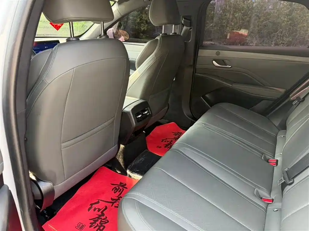 BYD Qin PLUS 2025 DM-i Smart Drive 55KM Leader фото 5