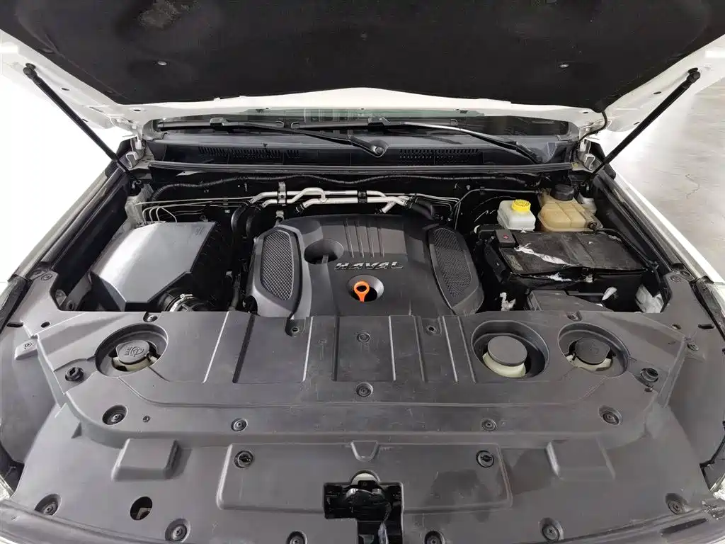 Haval H9 2017 2.0T Petrol 4WD Premium 5-seater фото 6