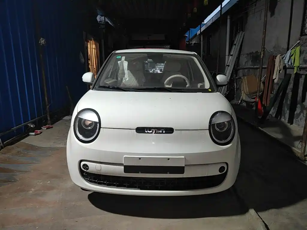 Changan Lumin 2026 2026 Model Treasure Edition 205km Sweet Rice Guoxuan