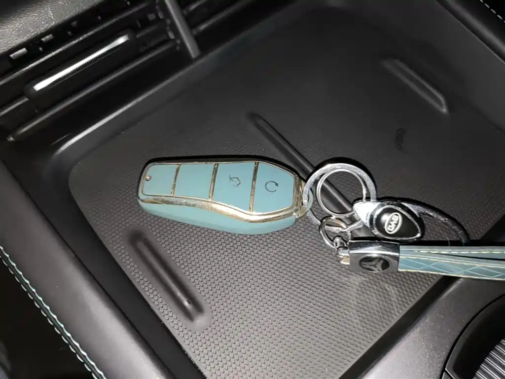 BYD Seal 06 New Energy 2024 DM-i 80KM Prestige фото 9
