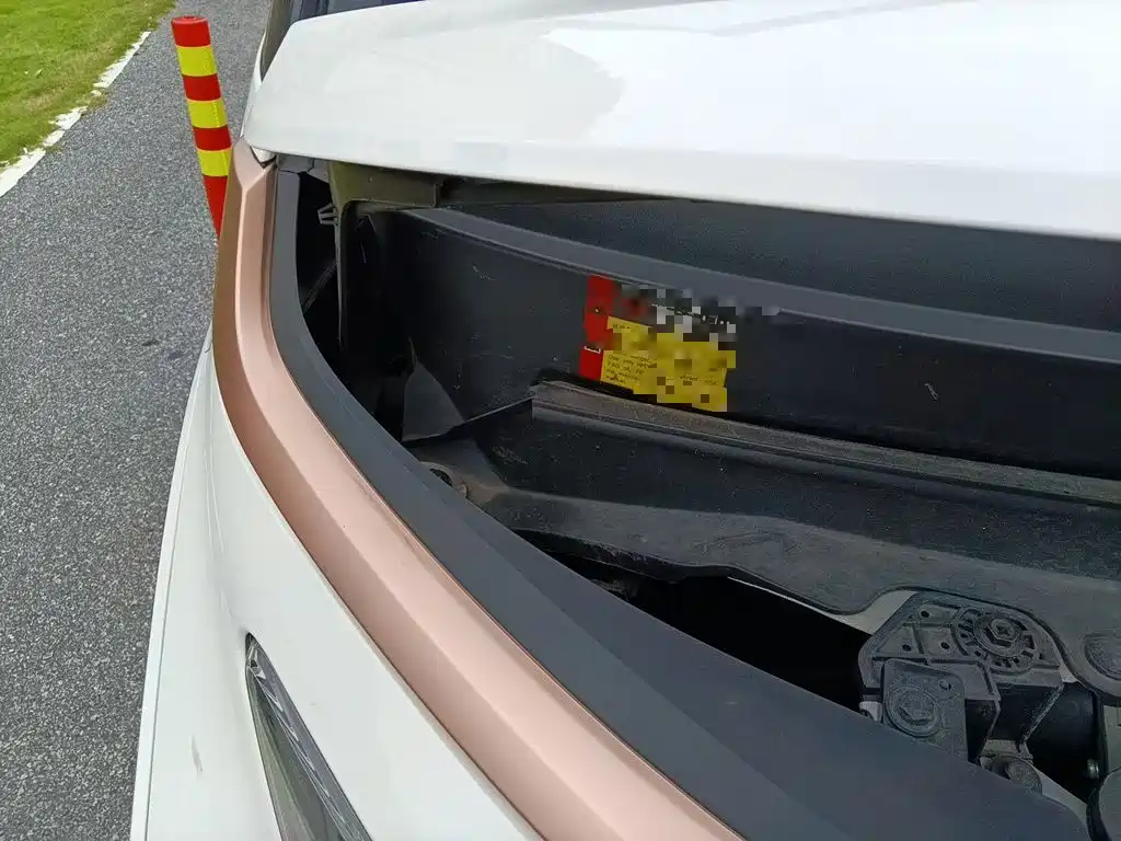 Baojun E200 2021 2020 305KM Smart Edition
