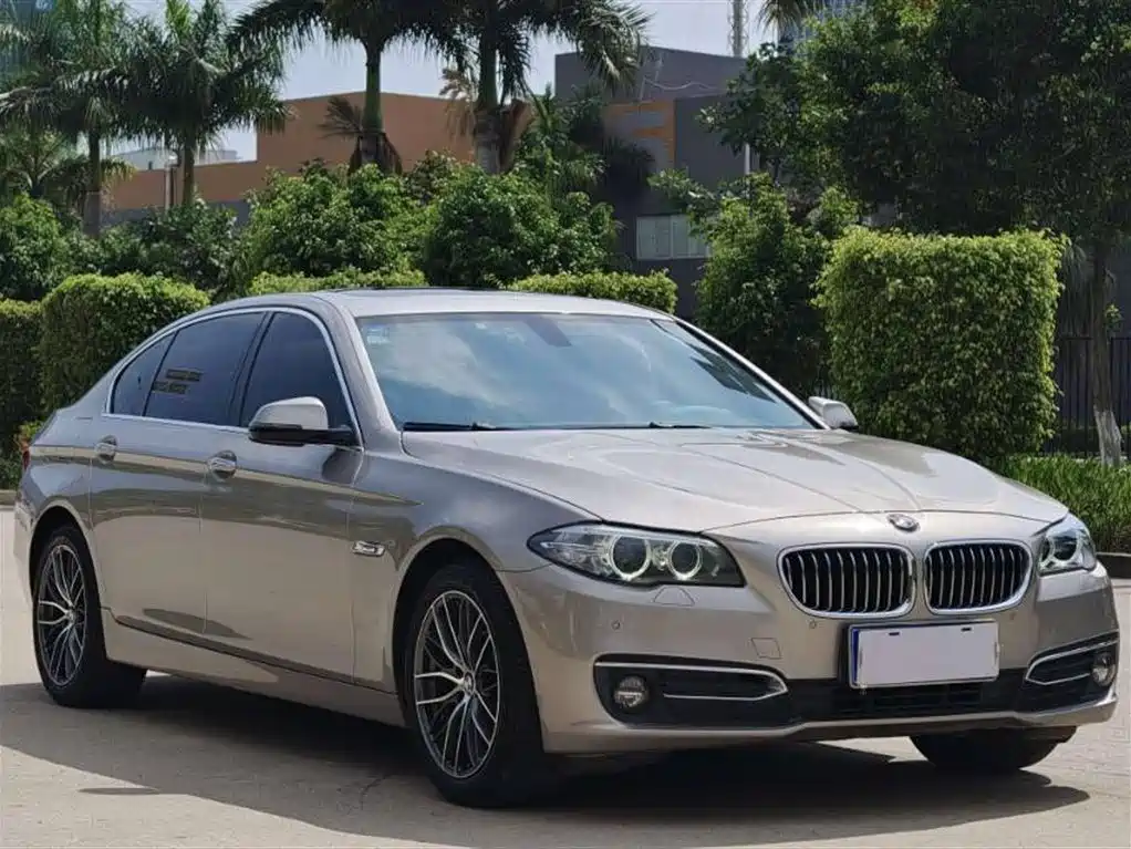 BMW 5 Series 2017 525Li Luxury Design Package фото 3