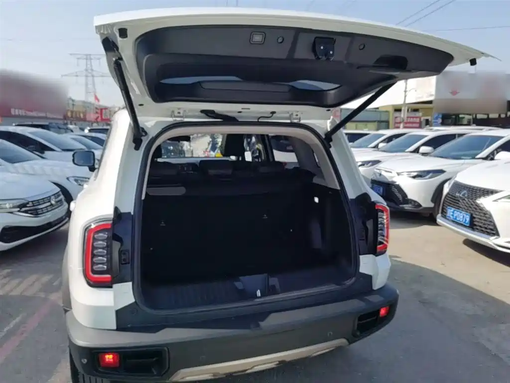 Haval Big Dog 2022 1.5T DCT FWD Border Collie Edition фото 19