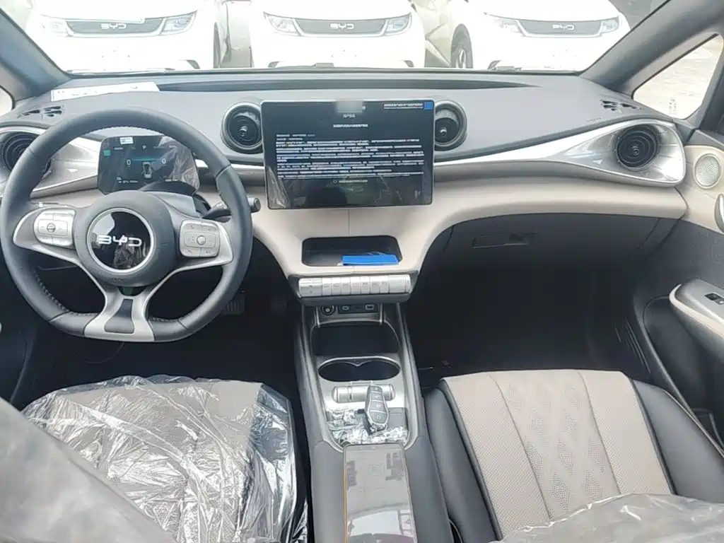 Photo 10 - BYD Dolphin