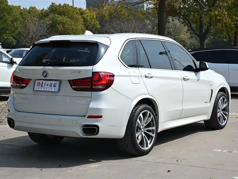 BMW X5 (Import) 2017 xDrive35i M Luxury Sport фото 8