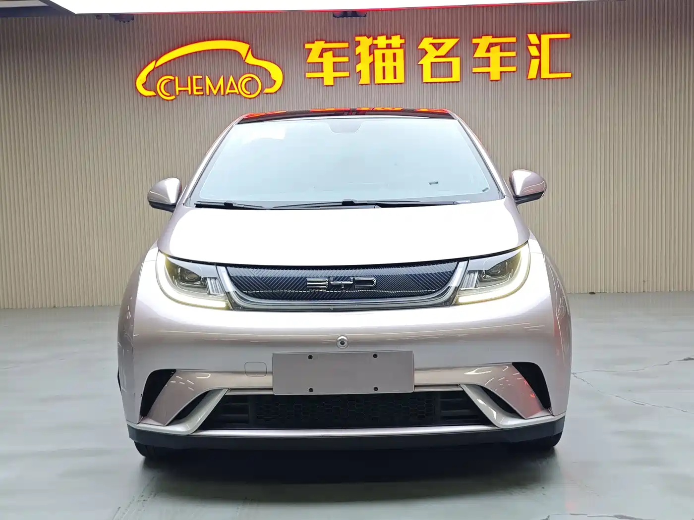 BYD Dolphin 2021 Model 405km Fashion Edition фото 3