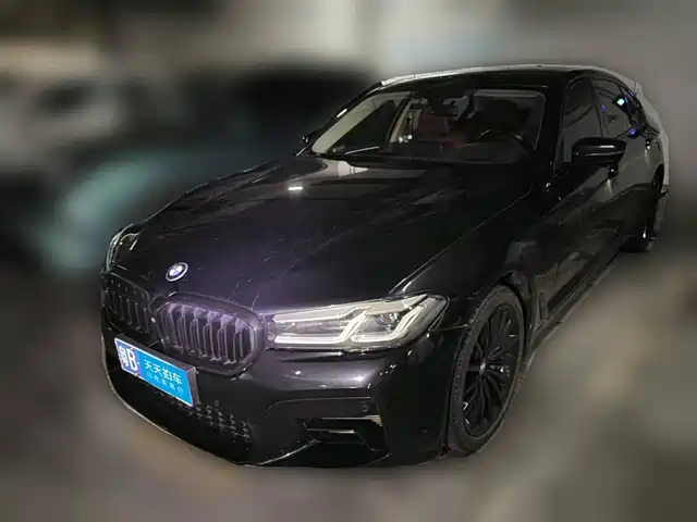 BMW 5 Series 2021 530Li Premium Luxury Package — фото 1
