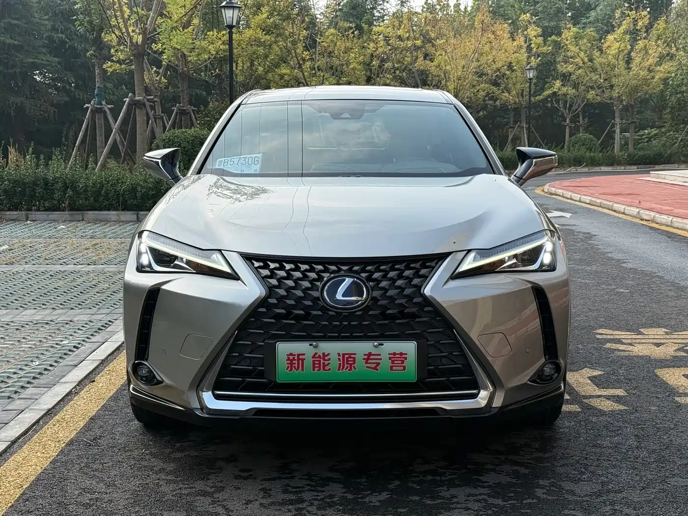 2022 Lexus UX Electric