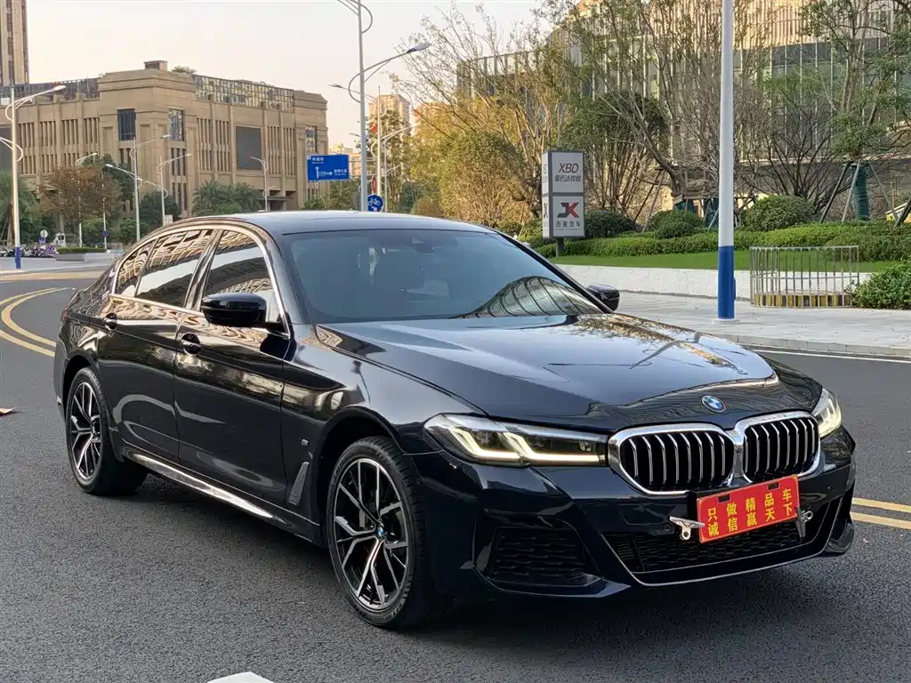 BMW 5 Series 2022 Facelift II 530Li Premium Package M Sport фото 18