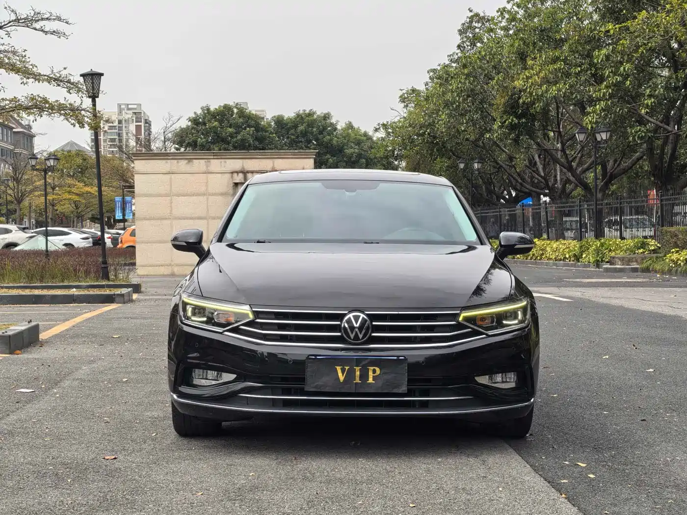 Volkswagen Magotan 2020 330TSI DSG Luxury фото 2