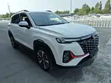 Фото 4 - Changan CS35 PLUS
