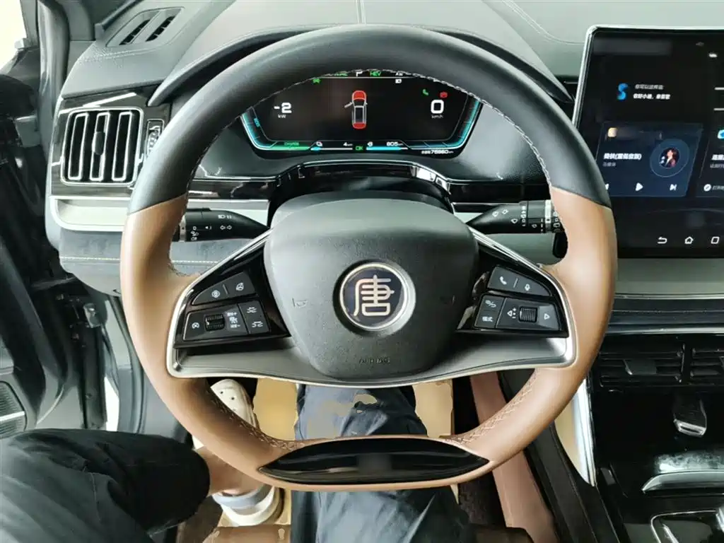 BYD Tang New Energy 2021 DM-i 112KM Honor фото 11