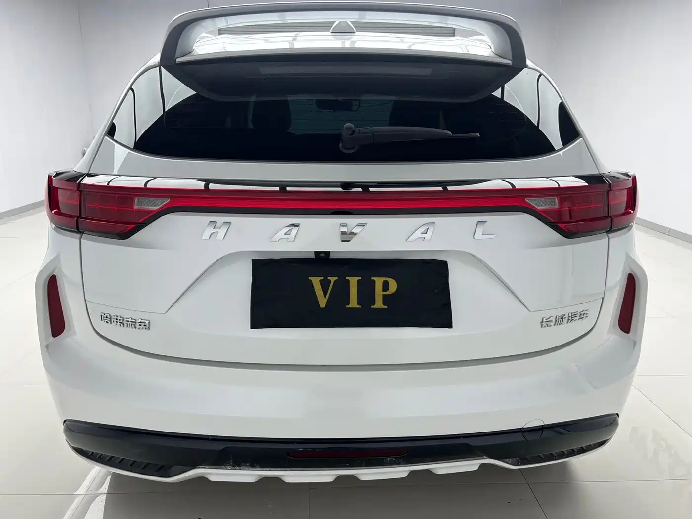 Haval Chitu 2023 1.5T Excellence фото 5