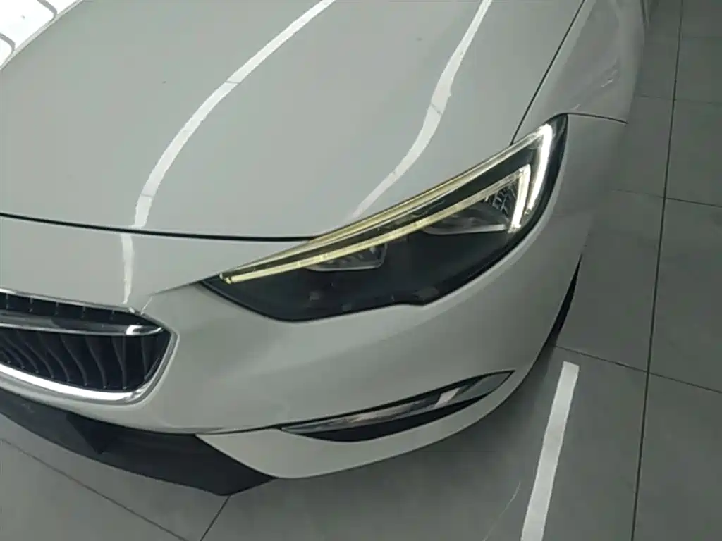 Buick Regal 2019 20T Elite China VI фото 24