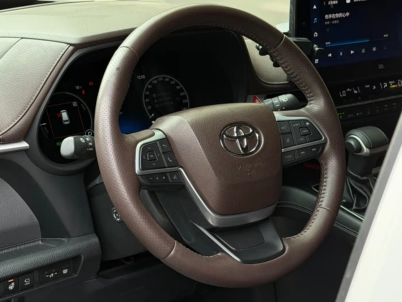 Toyota Sienna 2021 2.5L Hybrid Platinum Edition фото 19
