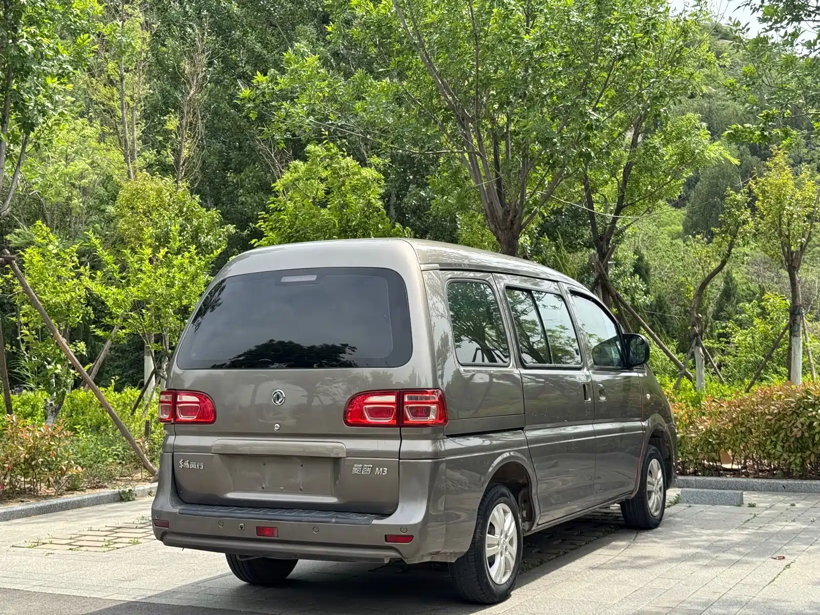 صورة 8 - Dongfeng Fengxing Lingzhi