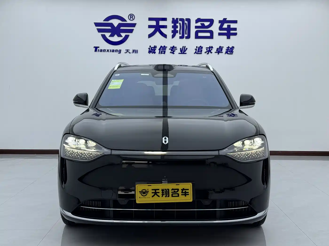 AITO Wenjie AITO M9 2024 Range Extender Max Edition 42kWh 6-seater фото 2