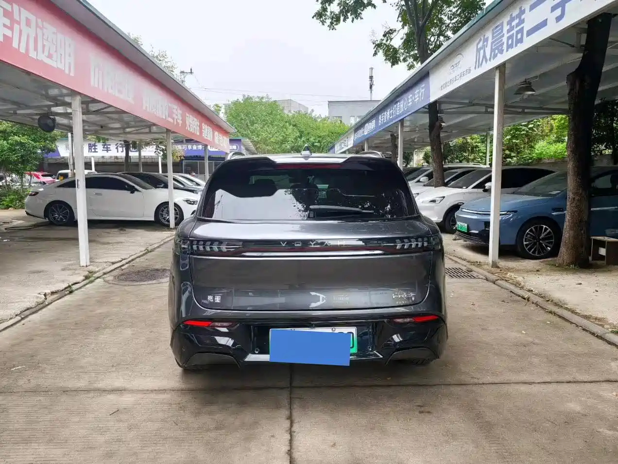 Voyah Free 2025 2025 318 318km RWD Touring Edition