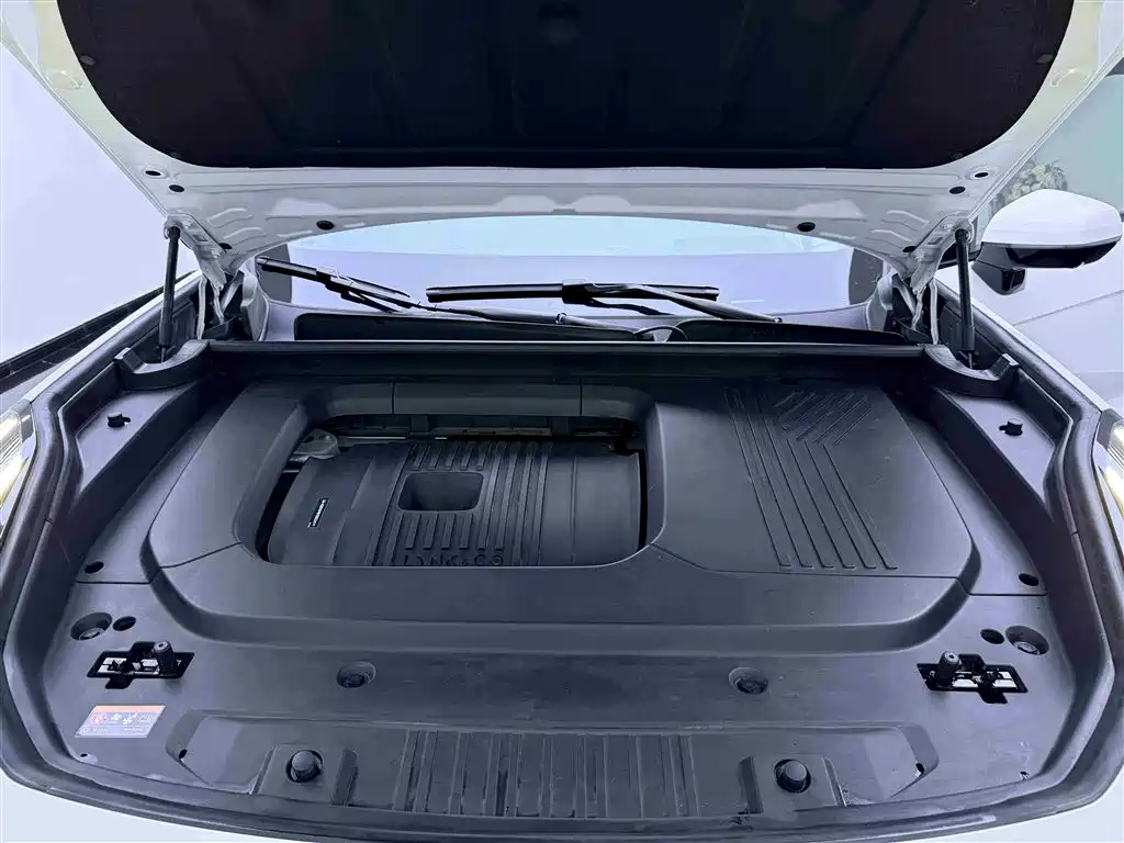 Lynk & Co 09 EM-P 2023 2.0TD EM-P Long Range PM 6-Seater фото 23